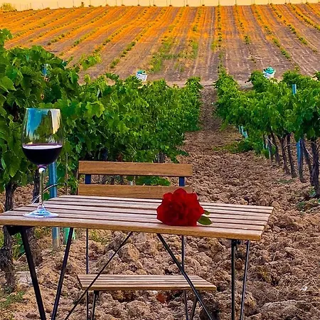 Tatil Evi Valdelajara A 20 Minutos De Puy Du Fou