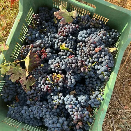Valdelajara A 20 Minutos De Puy Du Fou * Toledo