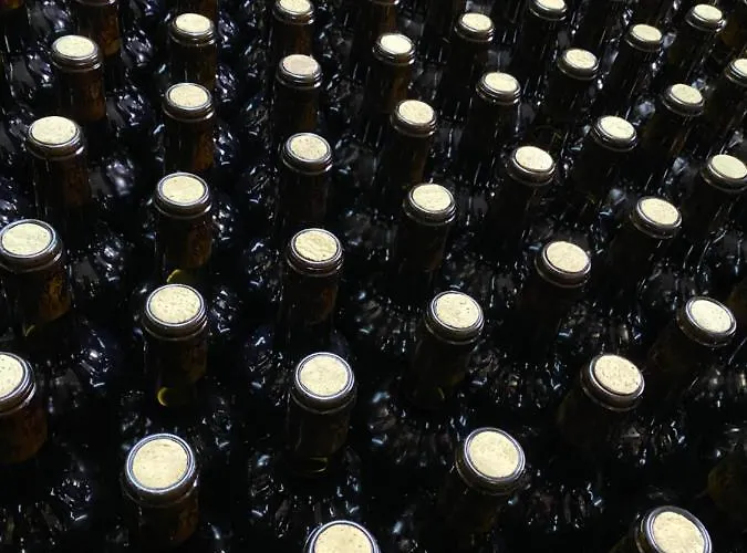 Valdelajara A 20 Minutos De Puy Du Fou Holiday home *