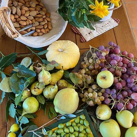Valdelajara A 20 Minutos De Puy Du Fou