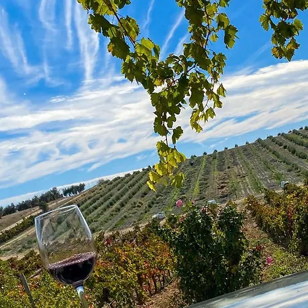 Ferienhaus Valdelajara A 20 Minutos De Puy Du Fou *