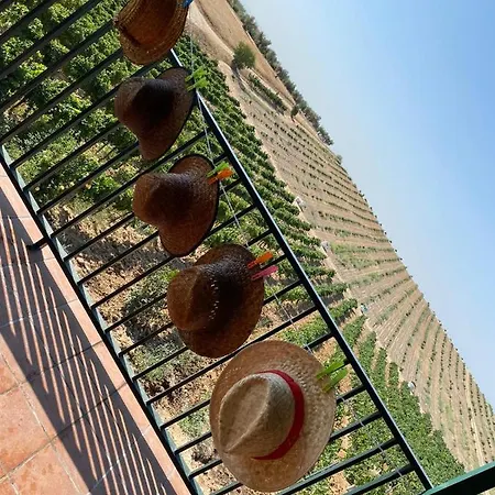 Ferienhaus Valdelajara A 20 Minutos De Puy Du Fou *