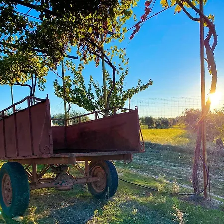 Valdelajara A 20 Minutos De Puy Du Fou