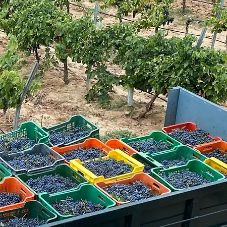 Valdelajara A 20 Minutos De Puy Du Fou Toledo