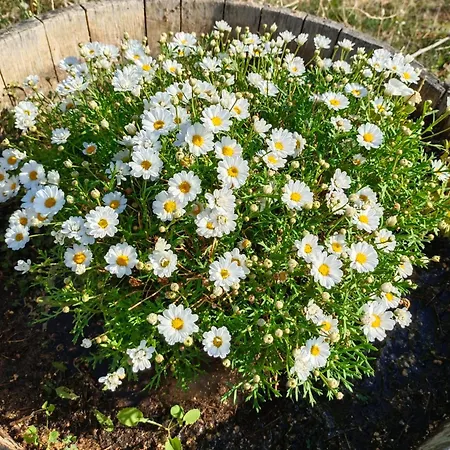 Valdelajara A 20 Minutos De Puy Du Fou בית נופש