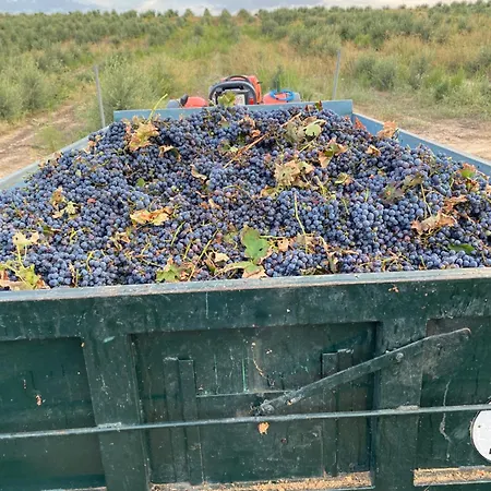 Valdelajara A 20 Minutos De Puy Du Fou *