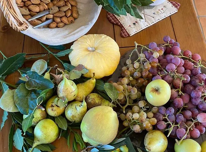 Valdelajara A 20 Minutos De Puy Du Fou
