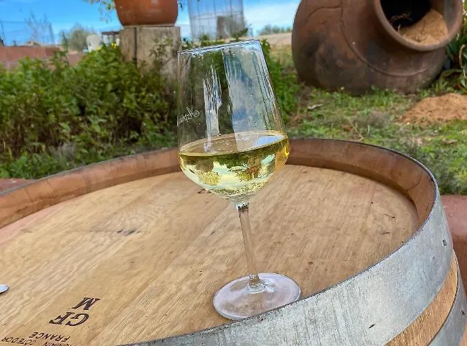 Valdelajara A 20 Minutos De Puy Du Fou 펜션 톨레도