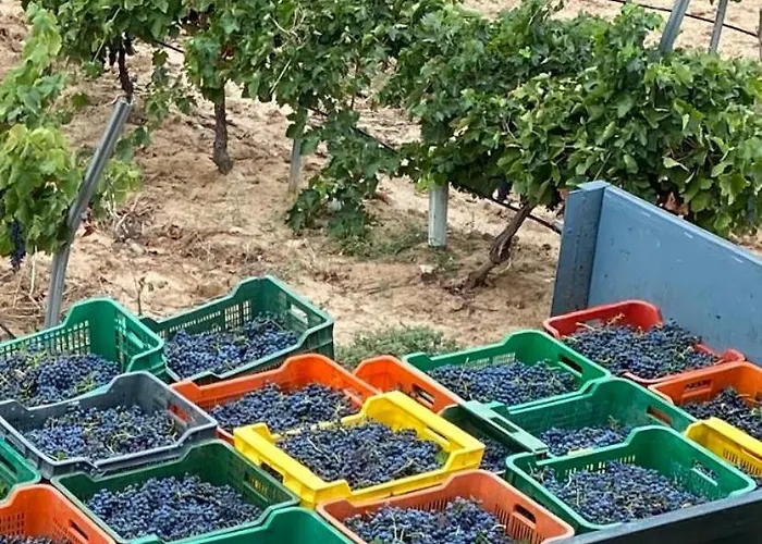 Valdelajara A 20 Minutos De Puy Du Fou Toledo