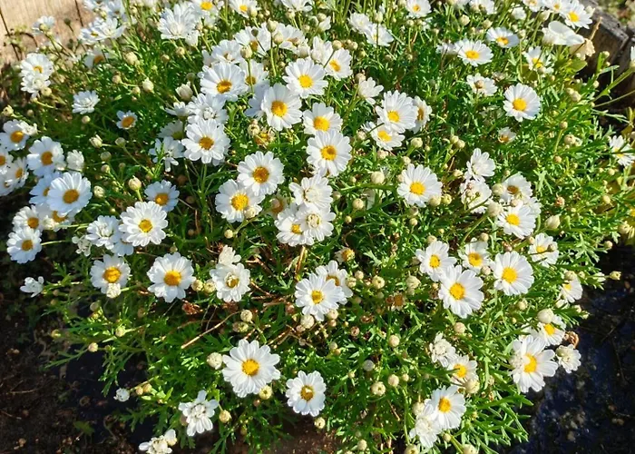 Valdelajara A 20 Minutos De Puy Du Fou Holiday home