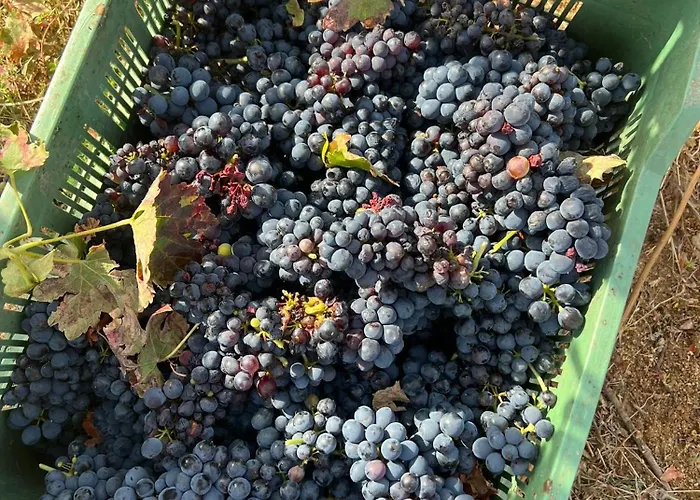 Valdelajara A 20 Minutos De Puy Du Fou * Toledo