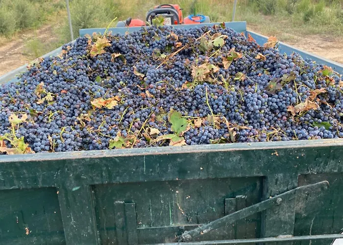 Valdelajara A 20 Minutos De Puy Du Fou *